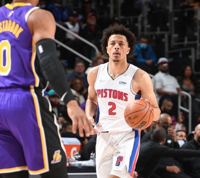 向以其坚韧 向以其坚韧