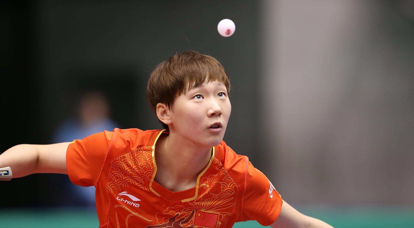 献的肯定 献的肯定