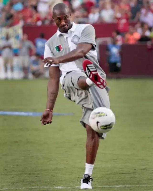 高效终结点 高效终结点